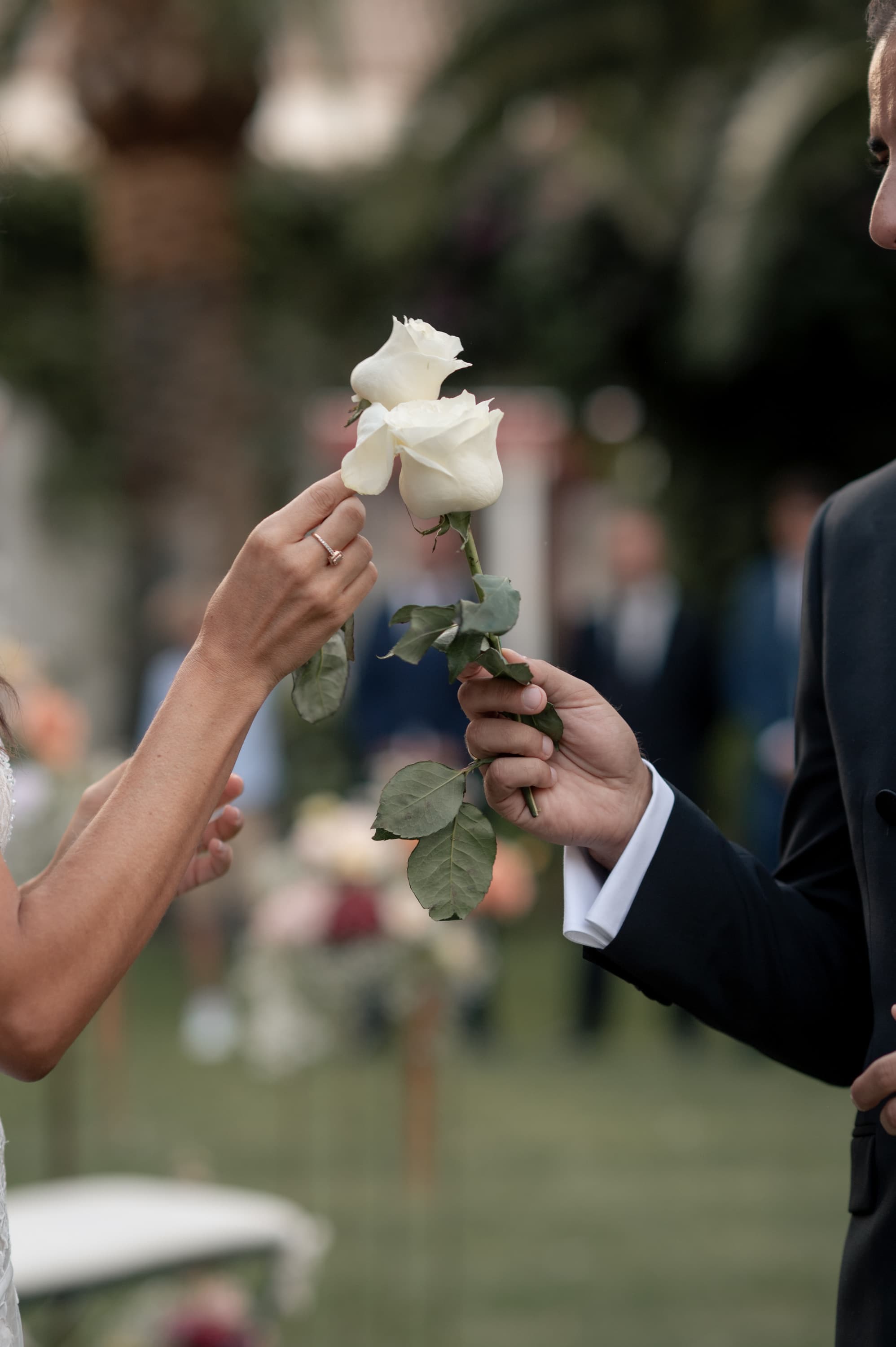 C & C — wedding photography by So'Bless