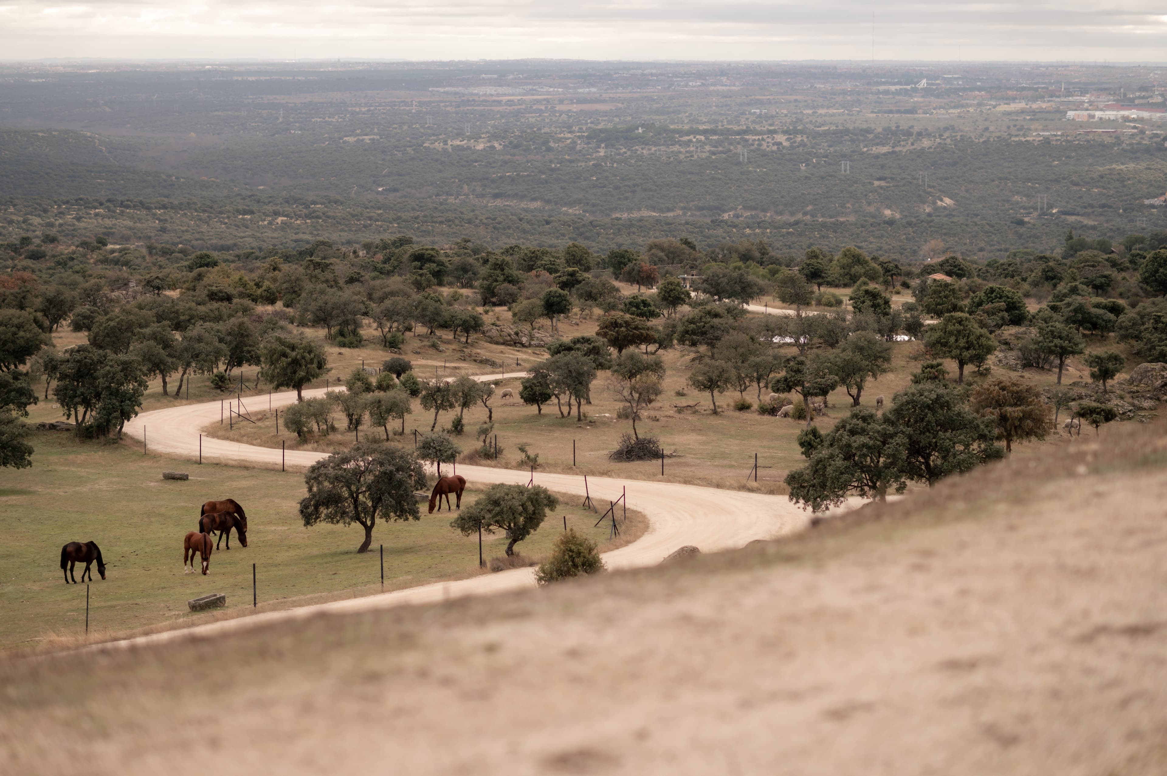 C & S — wedding photography by So'Bless